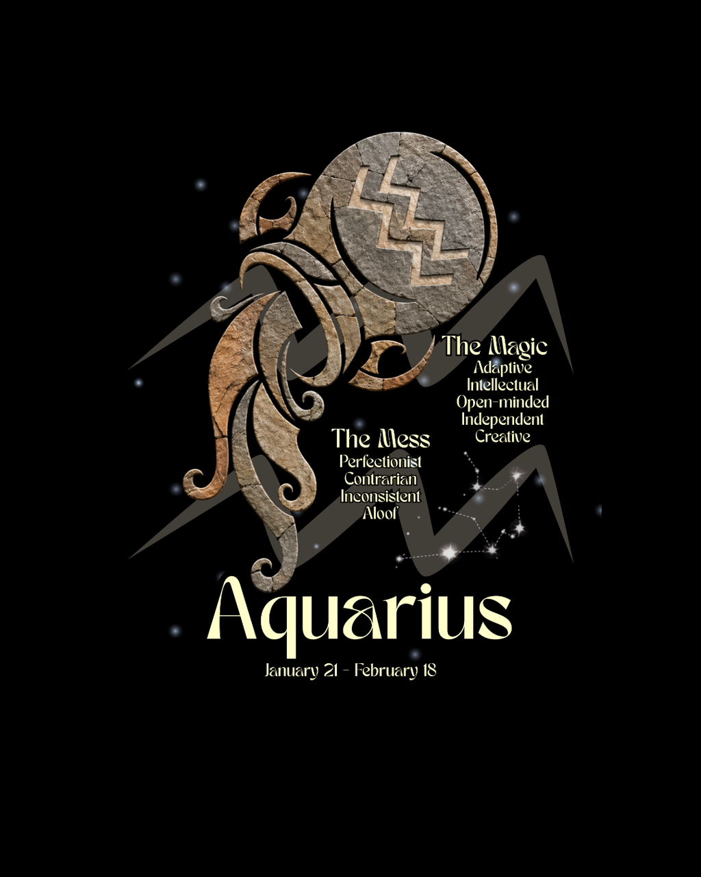 The Zodiac Society Astrology T-Shirt — Aquarius Graphic Tee