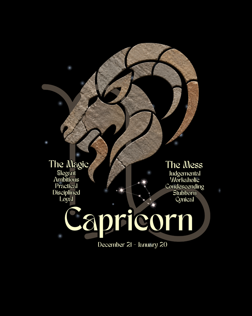 The Zodiac Society Astrology T-Shirt — Capricorn Graphic Tee